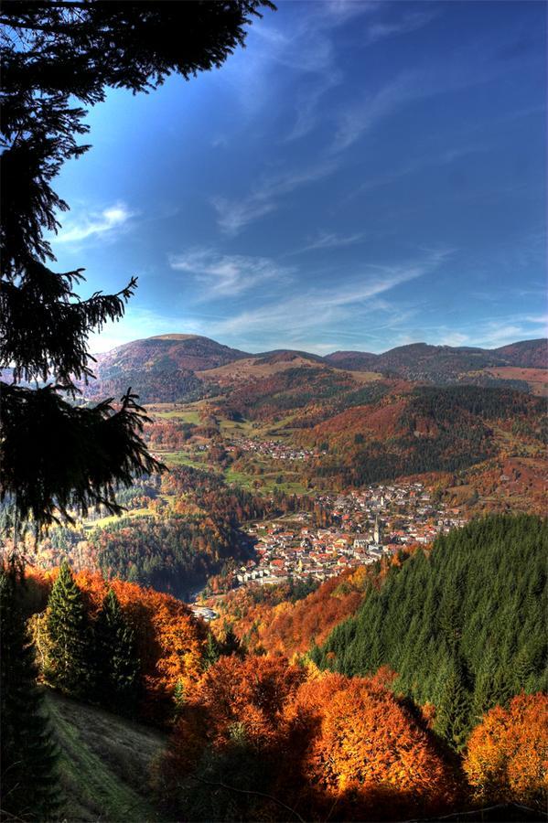 Akzent Hotel Kirchbuhl Schönau im Schwarzwald Esterno foto